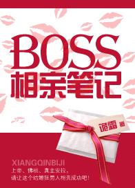 bossױʼǷ
