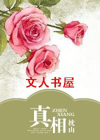 真相封面