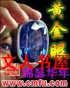 黄金眼封面