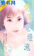 爱情电灯泡封面