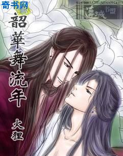 韶华舞流年封面