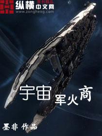 宇宙军火商封面