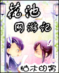 花池网游记封面