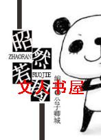 昭然若揭封面