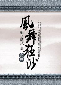 风舞狂沙封面