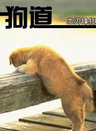 狗道 狗道