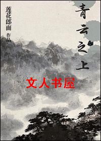青云之上封面