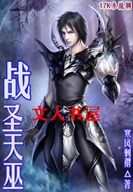 战圣天巫封面
