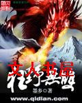 狂野无双封面