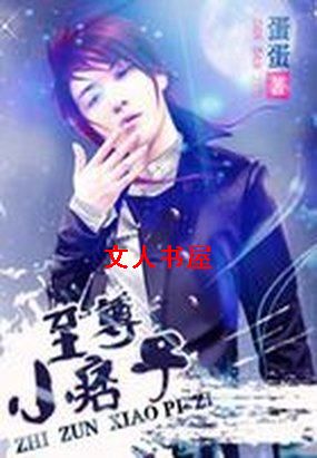 至尊小痞子封面