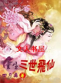 重生三世飞仙封面