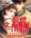乱世情劫封面