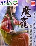 魔宠封面