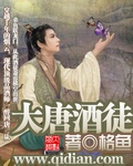 大唐酒徒封面