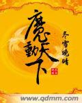 魔动天下封面