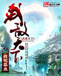 武敌天下封面