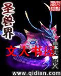圣兽界封面