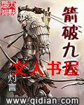 箭破九天封面