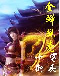 金蝉脱壳封面