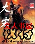 大宋权将封面