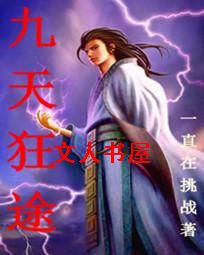 九天狂途封面