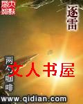 逐雷封面