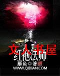 红袍法师封面