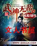 武神无敌封面