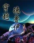 穿越德鲁伊封面