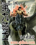 第九骑士封面