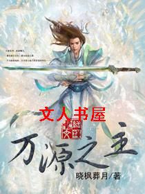 万源之主封面
