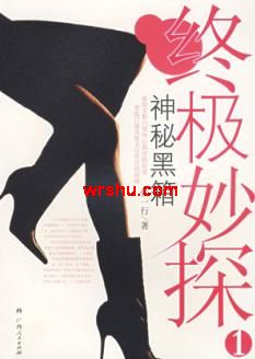 终极妙探之神秘黑箱封面