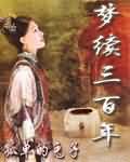 梦续三百年封面