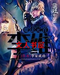 魔法元首李维封面