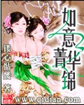 如意菁华锦封面