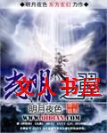 光明之翼封面