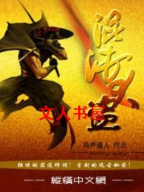 混沌大盗封面