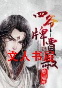 四爷牌贾赦封面