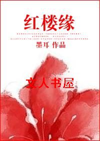 红楼缘封面