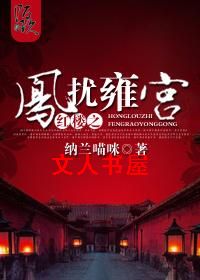 红楼之凤扰雍宫封面
