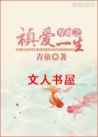 (清穿同人)清穿之禛爱一生封面