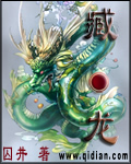 臧龙封面