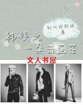 韩娱之一朵奇葩花封面