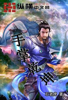 手掌乾坤封面