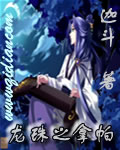 龙珠之拿帕封面
