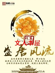 盛唐风流封面