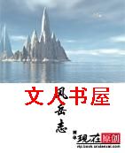 风岳志封面