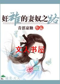 奸雄的妻奴之路封面