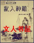 乱入神雕封面