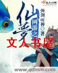 网游之仙梦封面